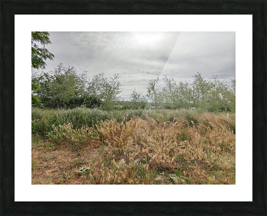 Island View3 Picture Frame print