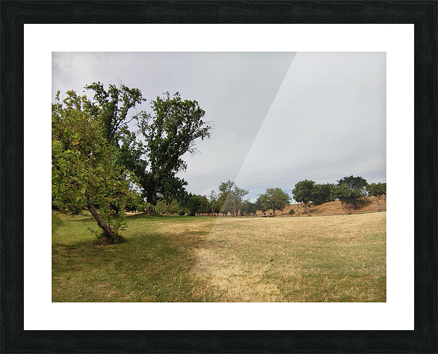 Island View4 Picture Frame print