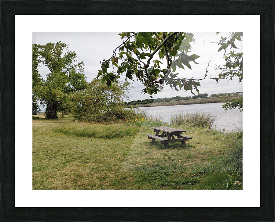Delta Picnic Picture Frame print