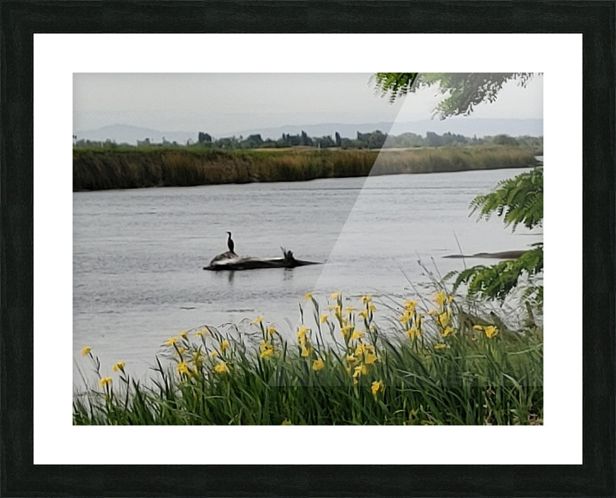 Island Solitude2 Picture Frame print