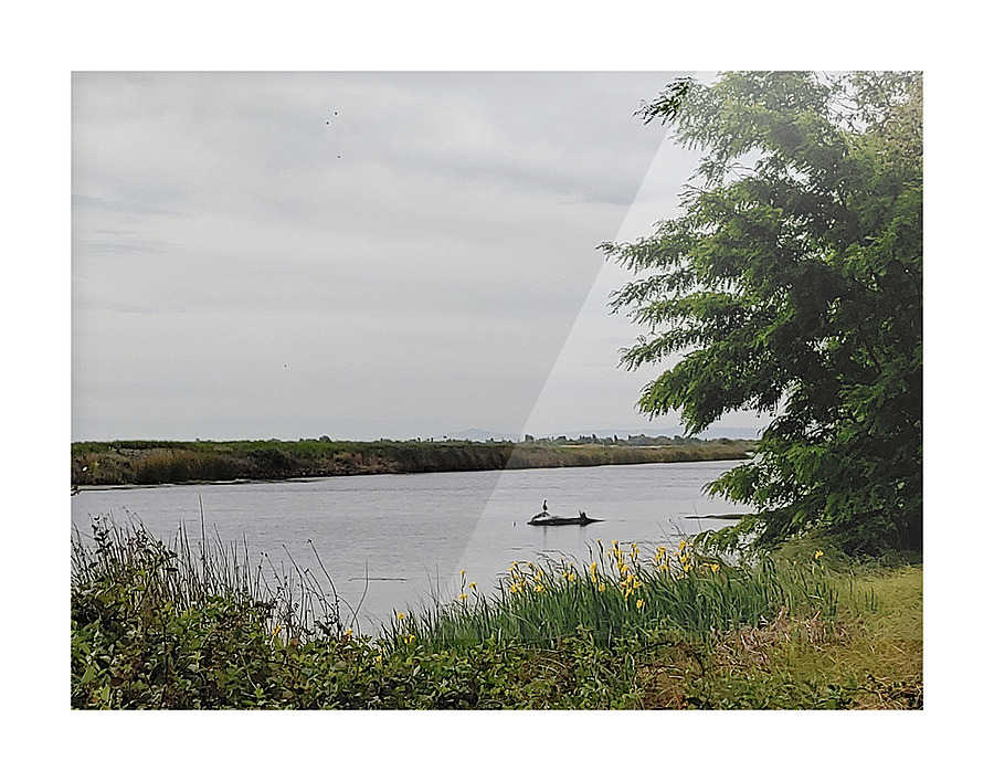 Island Solitude Picture Frame print
