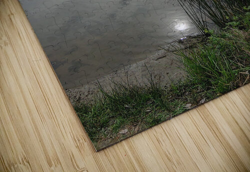 Reflections Donna Lee Wright puzzle