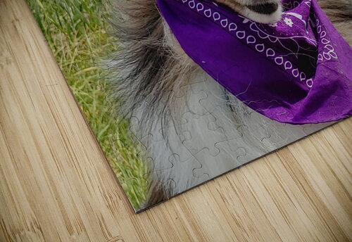 Sheltie   I got this Donna Lee Wright puzzle