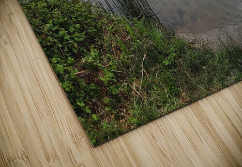 Reflections2 Donna Lee Wright puzzle