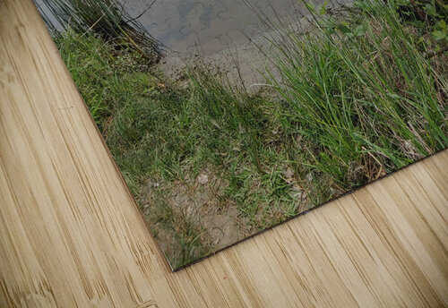 Reflections3 Donna Lee Wright puzzle