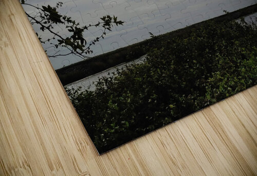Delta View2 Donna Lee Wright puzzle