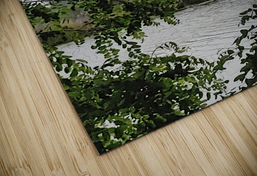 Island Window Donna Lee Wright puzzle