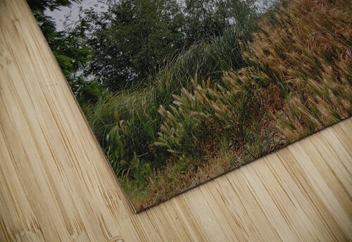 Island View2 Donna Lee Wright puzzle