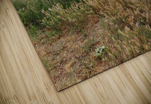Island View3 Donna Lee Wright puzzle