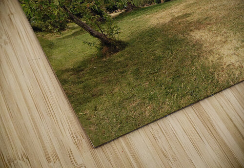 Island View4 Donna Lee Wright puzzle