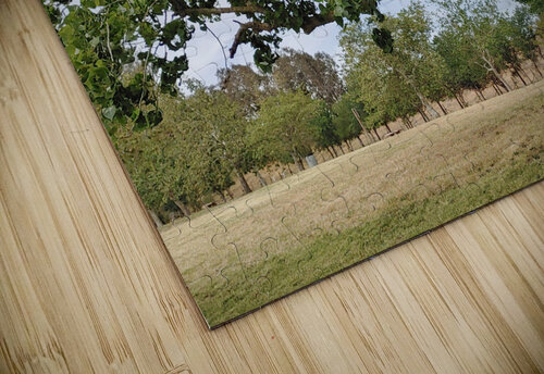 Island View5 Donna Lee Wright puzzle