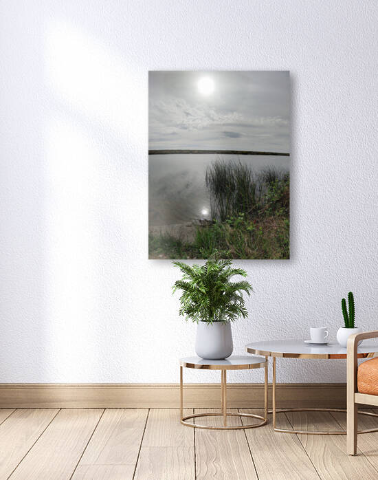 Reflections Reproduction