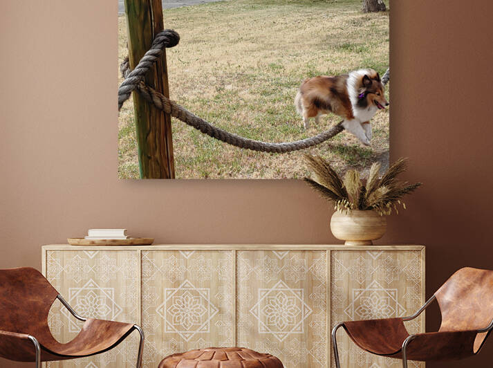Sheltie Skillz by Donna Lee Wright