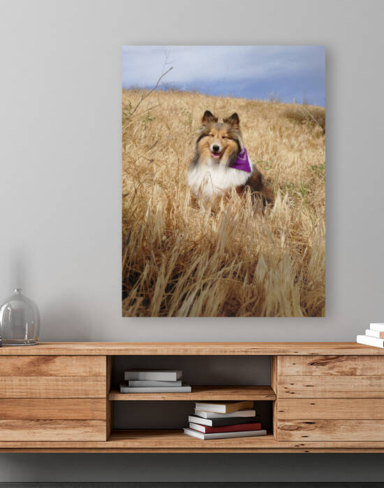 Sheltie Smiles by Donna Lee Wright