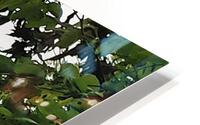 Island Window HD Metal print