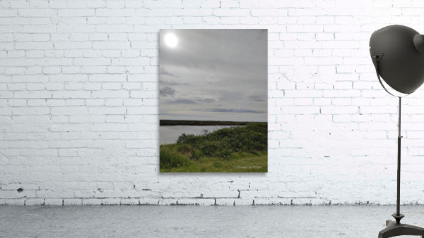 Delta View Wall Preview