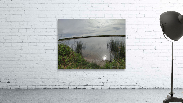 Reflections2 Wall Preview