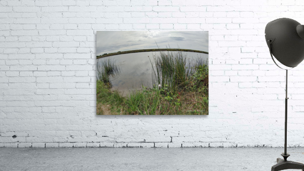 Reflections3 Wall Preview