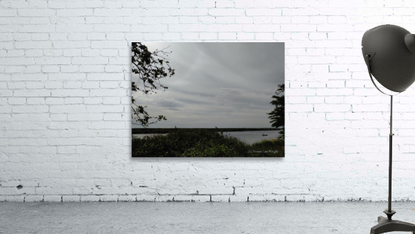 Delta View2 Wall Preview