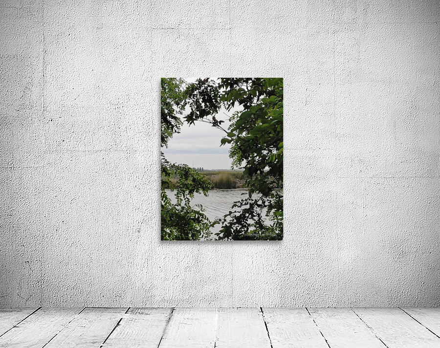 Island Window Wall Preview