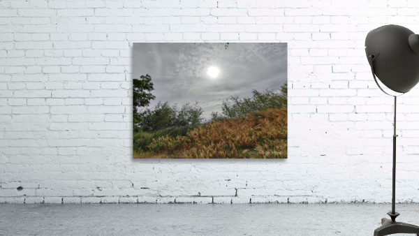 Island View2 Wall Preview