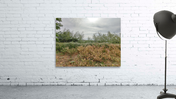 Island View3 Wall Preview