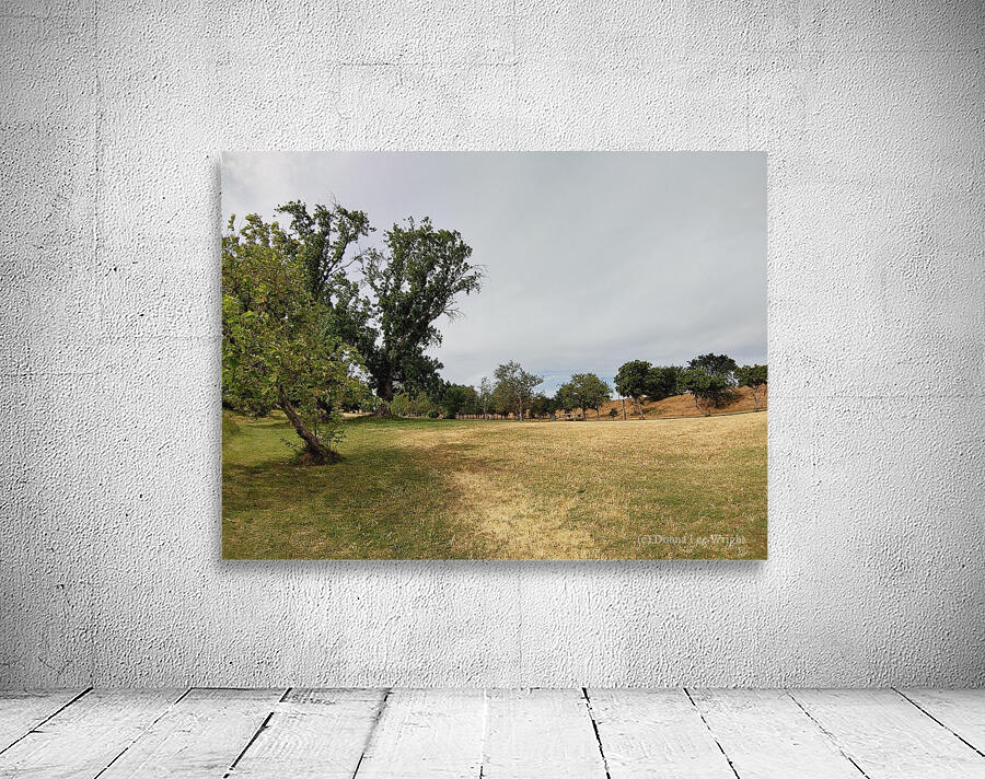 Island View4 Wall Preview