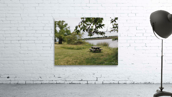 Delta Picnic Wall Preview