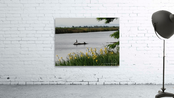 Island Solitude2 Wall Preview