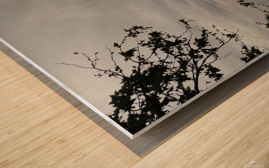 Delta View2 Wood print