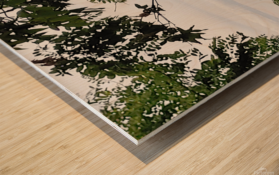 Island Window Wood print
