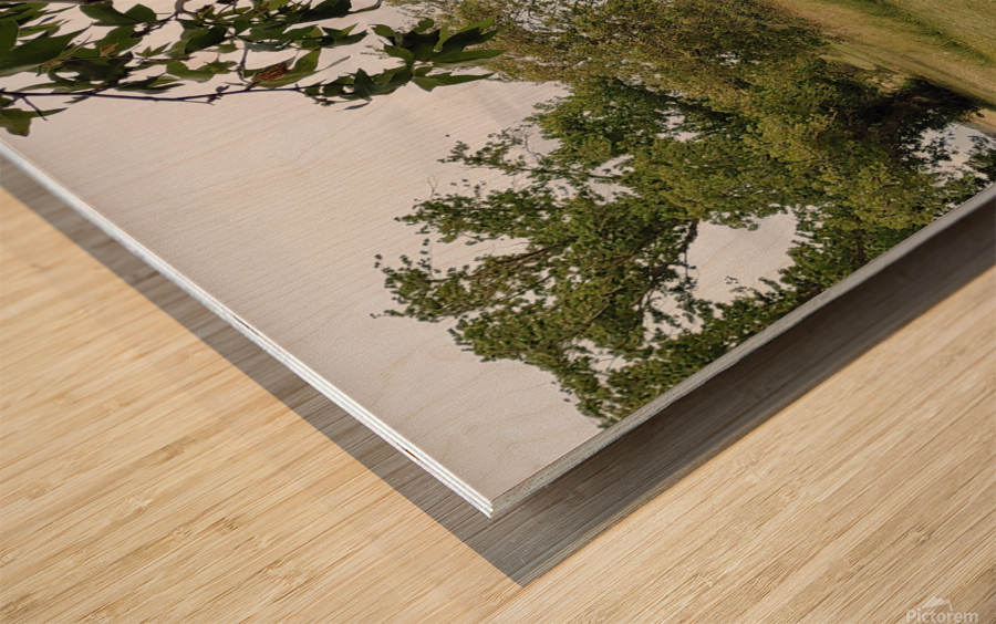 Delta Picnic Wood print