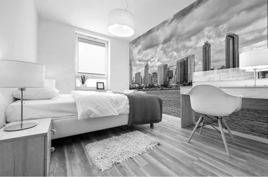 Gray Clouds Monochrome Skyline Mural print