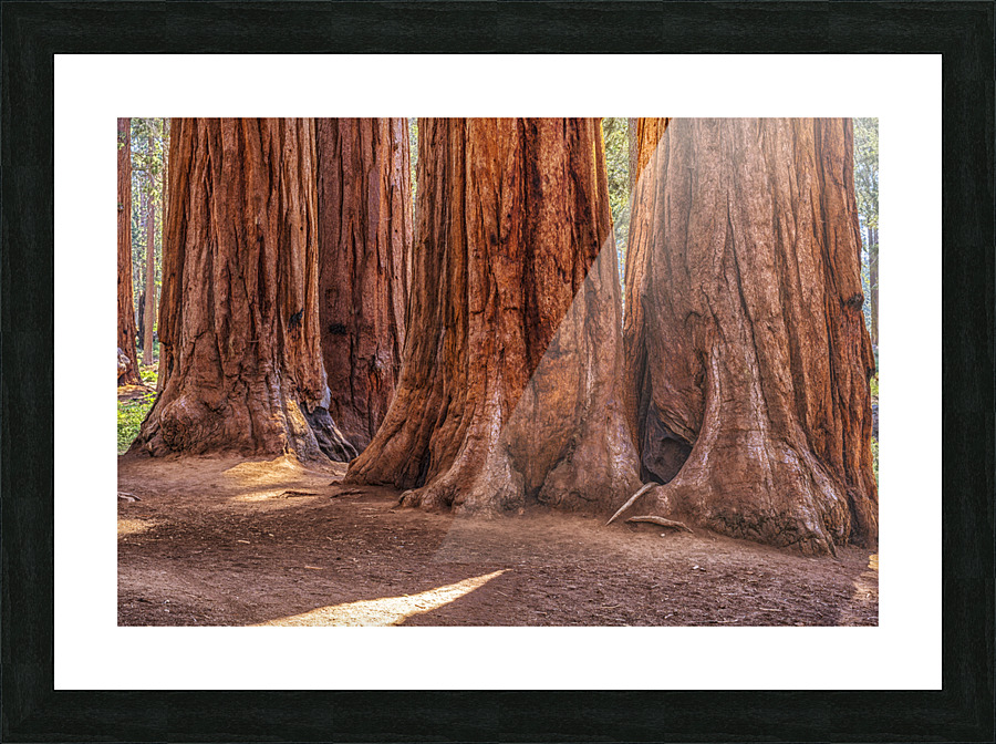 Gigantic Picture Frame print
