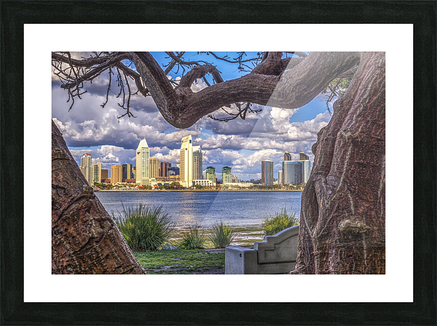 View From Bayview Park Picture Frame print