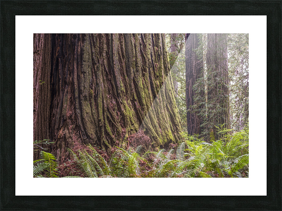 Ancient Beauty Picture Frame print