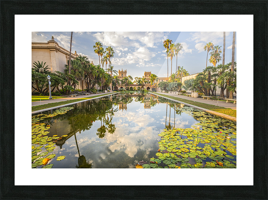 Lily Pond Reflections Picture Frame print