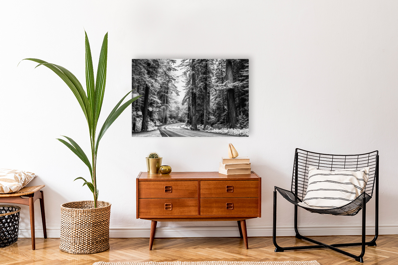 In The Silver Forest Reproduction
