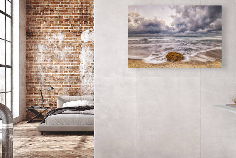 Solitude At Ponto Beach by Joseph S Giacalone Photography