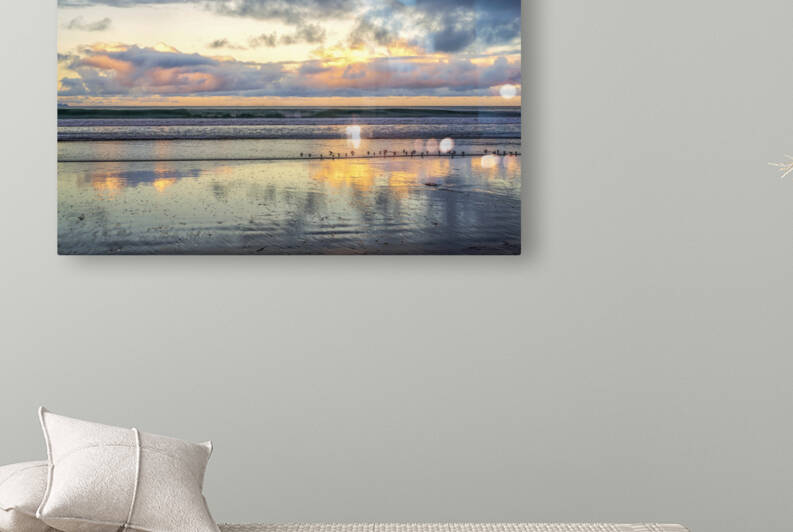 Little Birds On The Beach by Joseph S Giacalone Photography
