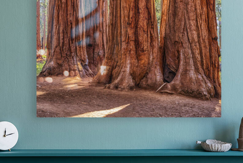 Gigantic by Joseph S Giacalone Photography