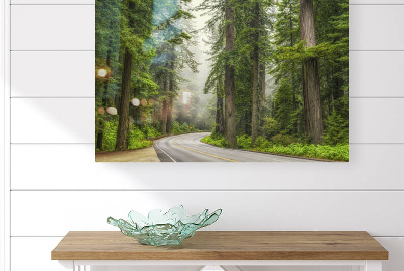 Redwoods On The 101 by Joseph S Giacalone Photography