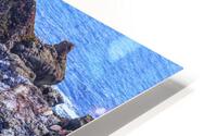 McWay Falls HD Metal print
