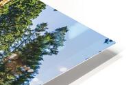 The General Sherman HD Metal print