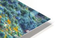 Wild About Wildflowers HD Metal print