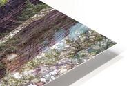 Ancient Beauty HD Metal print