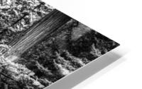In The Silver Forest HD Metal print