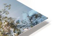 This Is The Boulevard HD Metal print