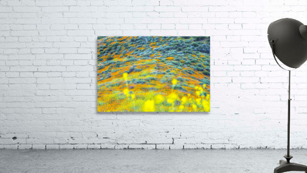 Wild About Wildflowers Wall Preview