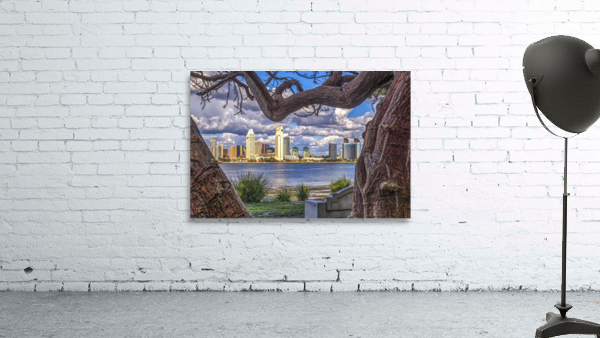 View From Bayview Park Wall Preview